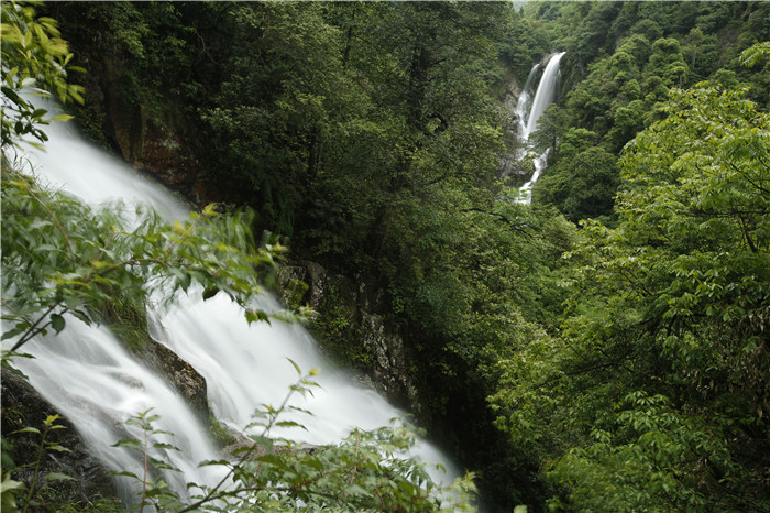 箬寮原始林景区
