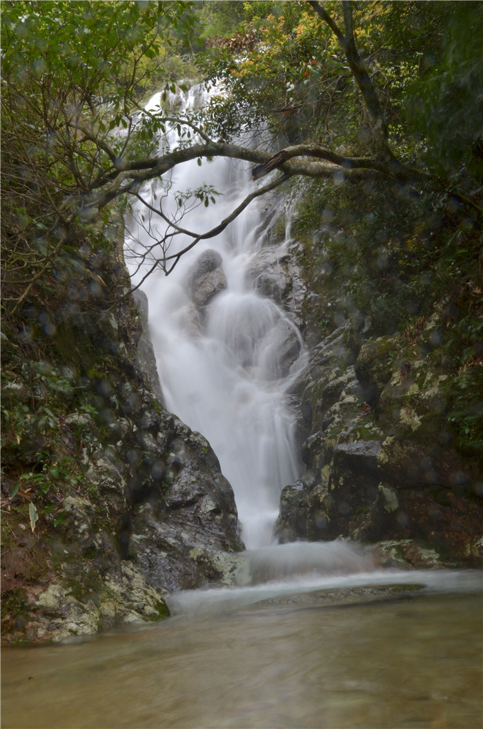 箬寮原始林景区