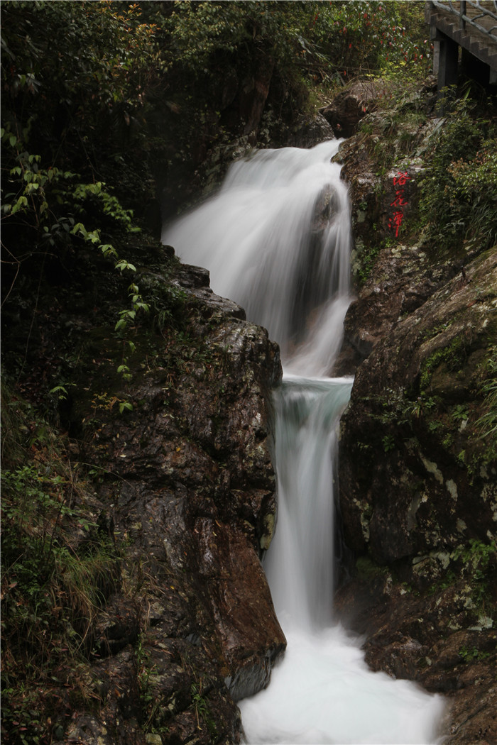箬寮原始林景区