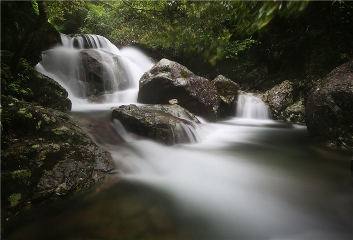箬寮原始林景区