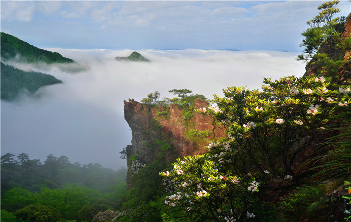 箬寮原始林景区