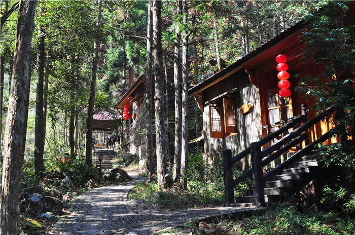箬寮原始林景区